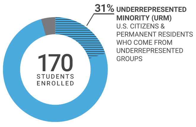 Class demographics image showing 96% of students are U.S. citizens or permanent residents and 20% are underrepresented minority (URM) U.S. citizens and permanent residents who come from underrepresented groups