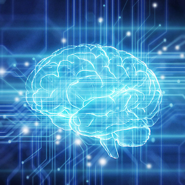 Headshot of Steve Jiang, Ph.D.