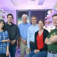 Researchers find a small protein that plays a big role in heart muscle contraction