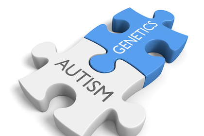 Scientists identify new gene involved in autism spectrum disorder