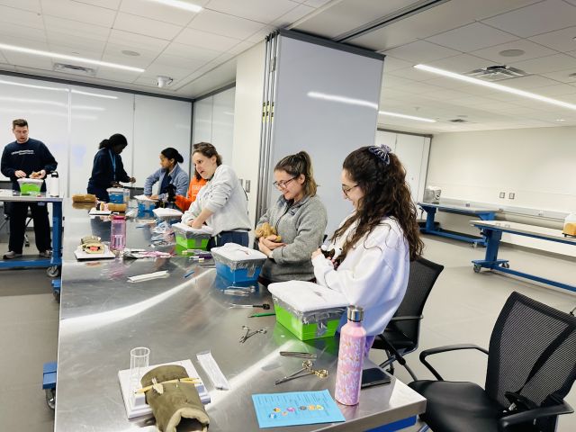 Medical students in learning environment