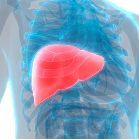 Tumor mutation associated with drug-resistant liver cancer, UT Southwestern study finds