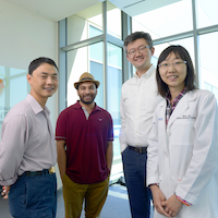 CRI researchers link absence of protein to liver tissue regeneration