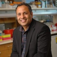 Researcher receives prestigious NIH award