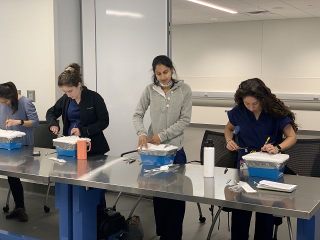 Medical students working on project