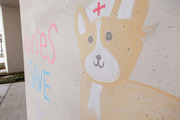 Who couldn’t use a cute corgi to go with a chalk art shoutout to nurses?