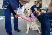 Registered Nurse Janice Hughes