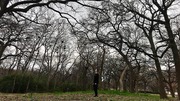 Taylor Walding, Willed Body Program: “This ‘long range selfie’ (using my smartphone’s camera timer) captures me in my quiet place I like to go some days before my afternoon/evening shift. It’s near the Memorial Gardens, bordering the southwest corner of Inwood at Harry Hines. Also, the birds’ nests bring me (and hopefully whoever sees this) calm and peace!”