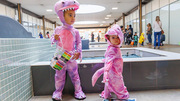 Two pink dinosaurs pose for a photo beside a water garden.