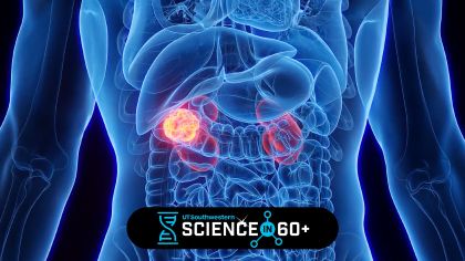 Science in 60: Renal Revelations