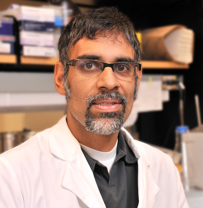 Dr. Deepak Nijhawan