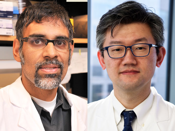 Drs. Deepak Nijhawan and Hao Zhu