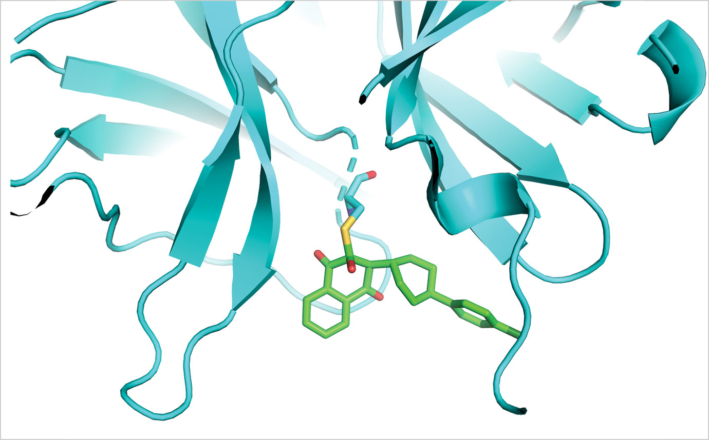 Atovaquone, a former malaria drug