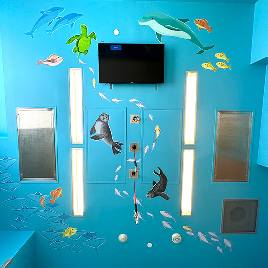 ocean themed ceiling mural includes fish, seals, stingrays, dolphins, and turtles on a blue background