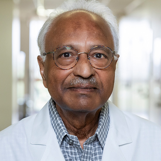 Anil Agarwal, Ph.D. headshot