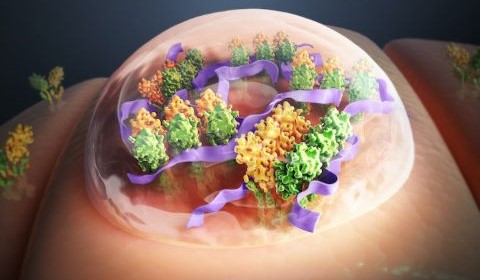 artists rendering of STING protein