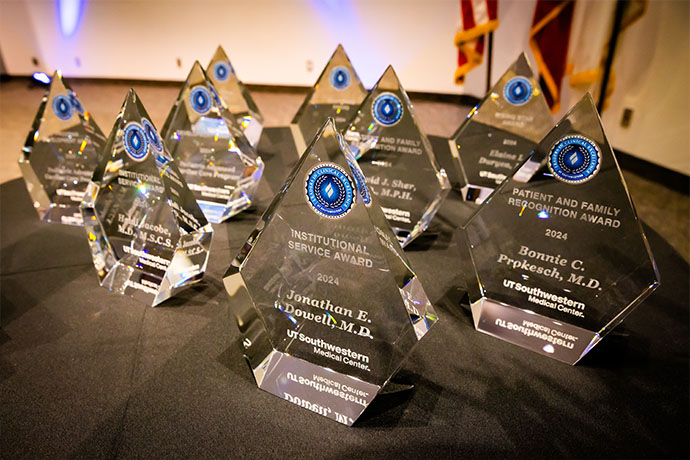 table displays 9 crystal trophies for Leaders in Clinical Excellence awards