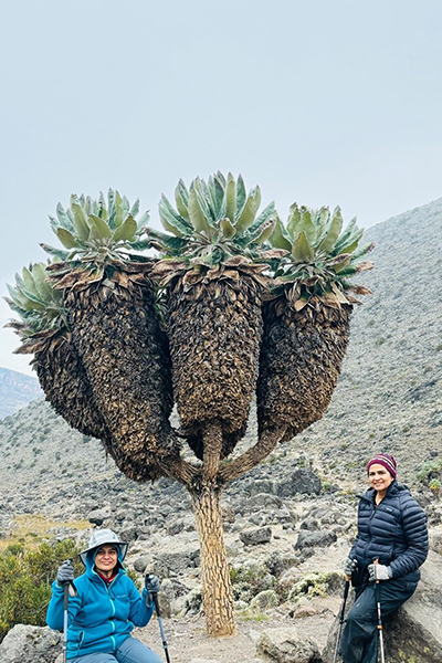 2 mountain climbers pose on each side of a strange tree in the rocky terrain