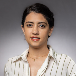 photo of saeideh arsalani.