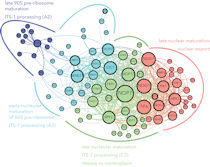 Graphic for Jan Erzberger