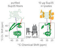 Graphic for Kendra Frederick