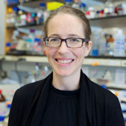 Kendra Frederick, Ph.D.