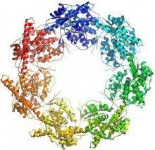 Graphic for Zbyszek Otwinowski