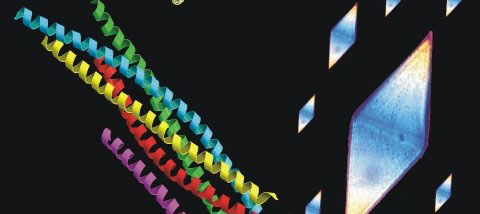 Graphic for Jose Rizo-Rey