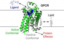 Graphic for Dan Rosenbaum