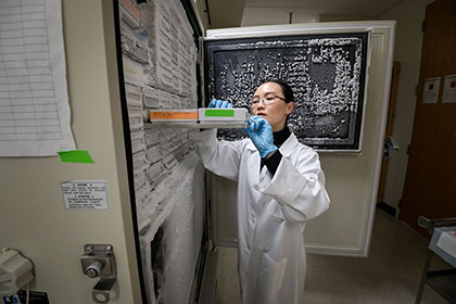 A female medical doctor in the lab
