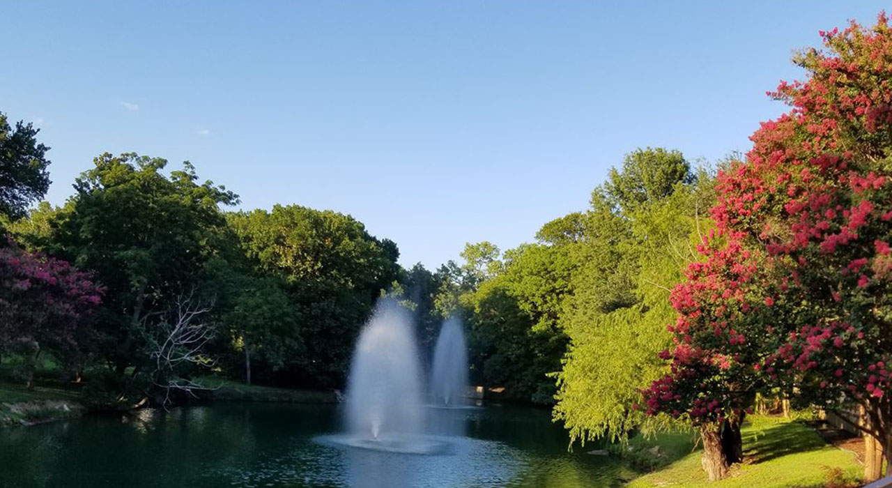 A fountain in a pond surrounded by trees at Texas Health Resources Presbyterian Hospital Dallas
