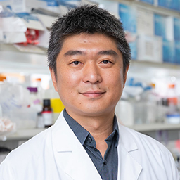 Jun Wu, Ph.D.