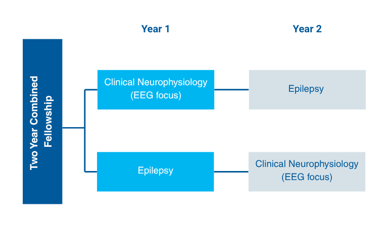 A flow chart showing the yearly options for the Combined Program, as described in the text