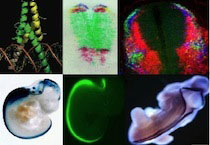 Graphic for Jane Johnson