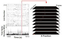 Graphic for Brad Pfeiffer