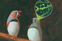 Graphic for Todd Roberts