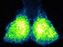 Graphic for Joseph Takahashi