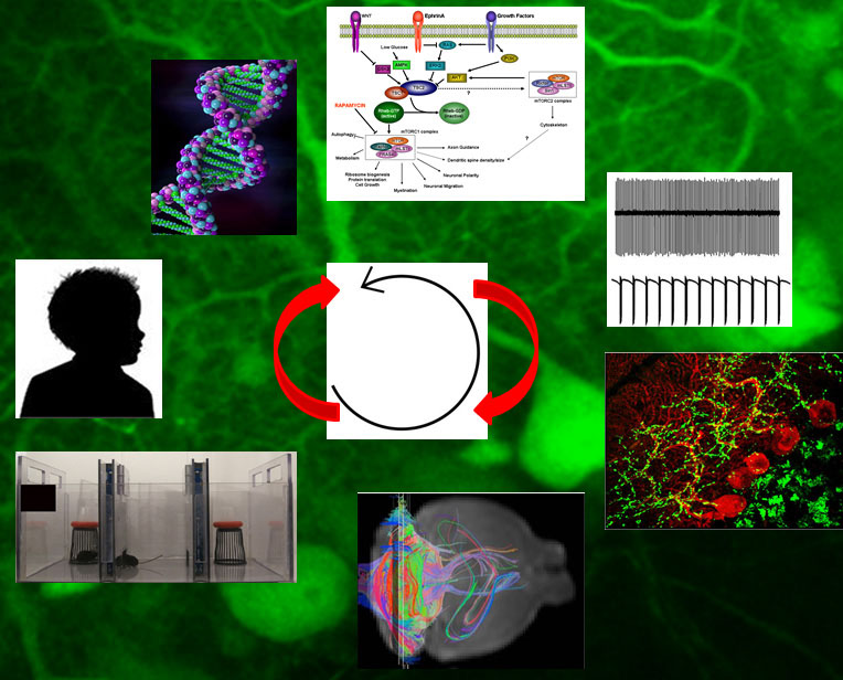 Graphic for Peter Tsai