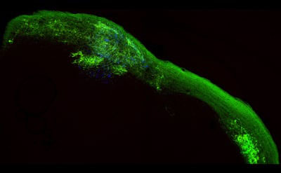 Graphic for Supraja Varadarajan