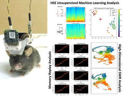 Graphic for Jun Yamamoto