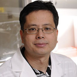 Gang Yu, Ph.D.