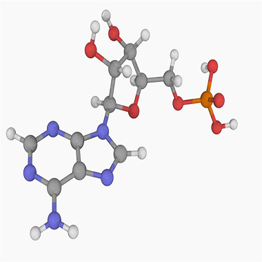 Blue and green cell images in a grid with 100 micro-m marked off