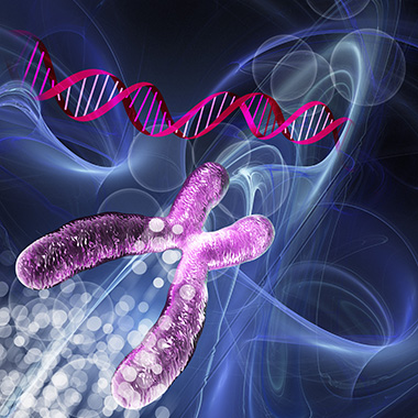 Genetics research, conceptual computer artwork in pink and purple
