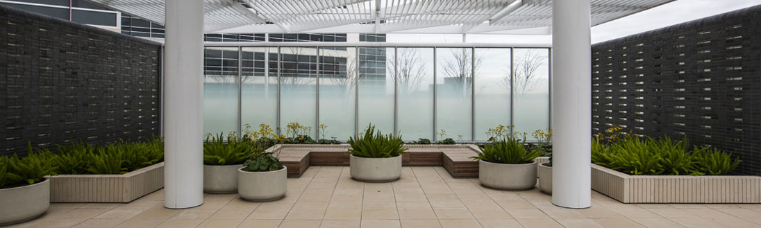 A serene courtyard with plants, windows, and benches