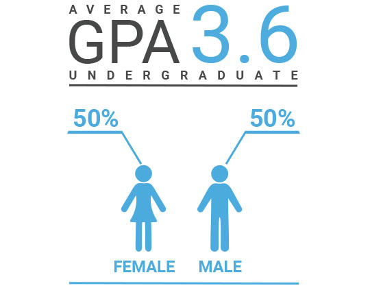 Demographics image showing average undergraduate GPA is 3.6, and 50% of students and female and 50% are male.
