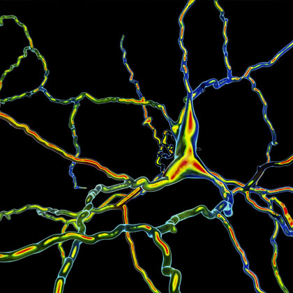 3D illustration of a dopaminergic neuron