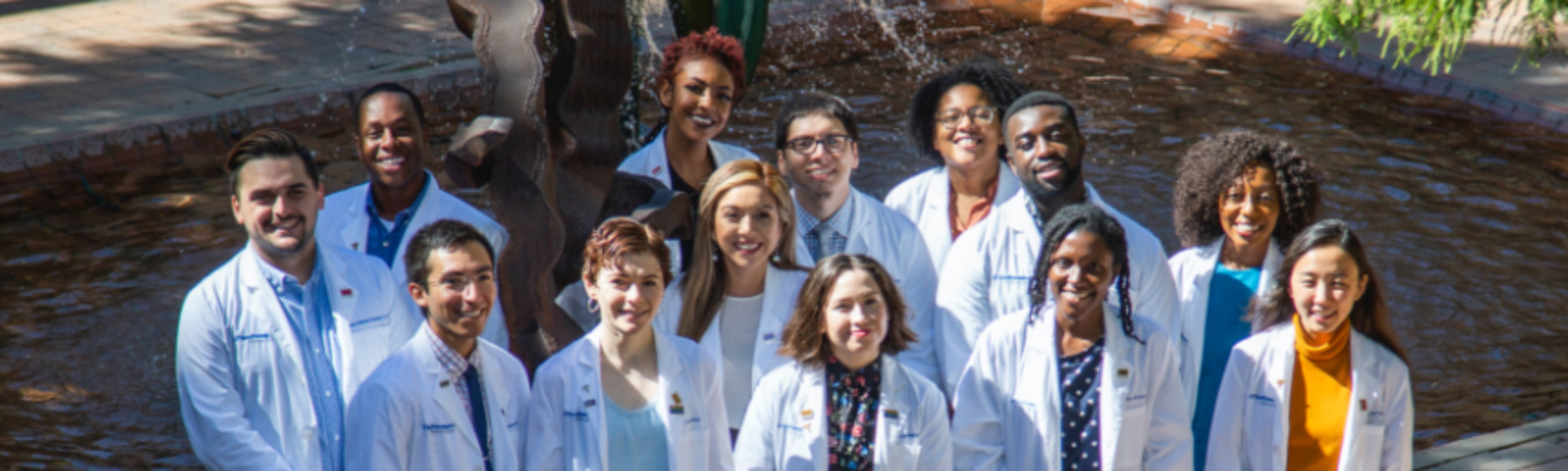 A group of diverse medical students standing in front of a tree