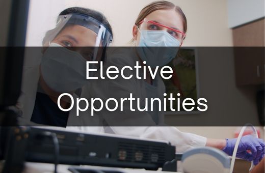 Button image - Elective Opportunities