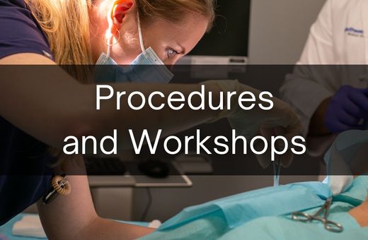 Button image - Procedures & Workshops