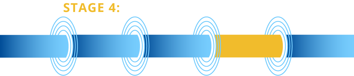 stage4: QMS and pre-submission